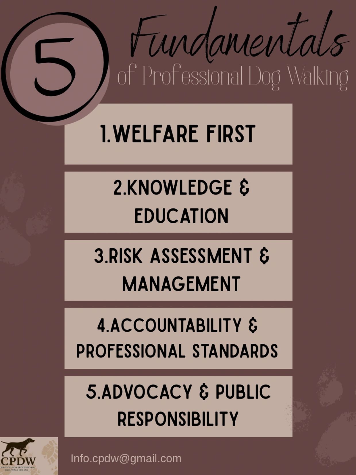 Five fundamentals of professional dog walking focusing on welfare, knowledge, risk management, accountability, and public responsibility.