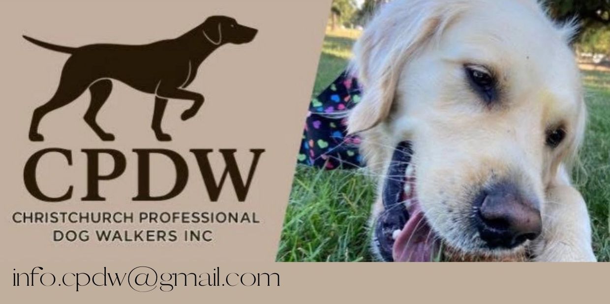 Logo and contact for Christchurch Professional Dog Walkers with a happy golden retriever.