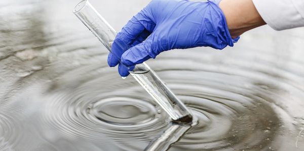 The researcher holds a test tube with water in one hand in a blue glove
