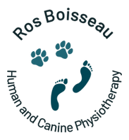 Ros Boisseau Physiotherapy