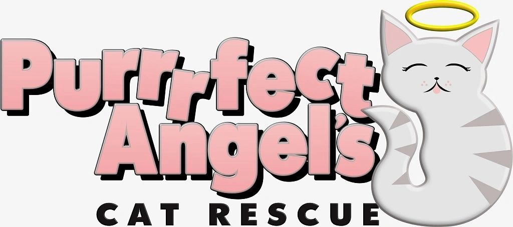 Image of Purrrfect Angels Cat Rescue logo in pink and black text next to a cat with a halo