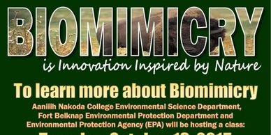 Communities today face unprecedented challenges.  Our biomimicry work!shop intensives are tailored t
