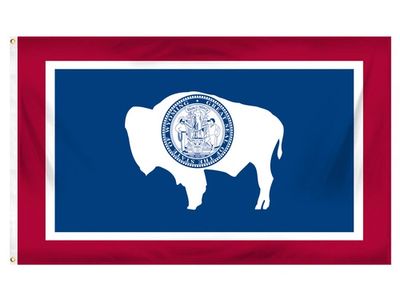 Wyoming flag on Skibbatical