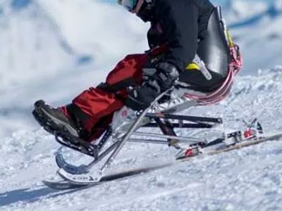 Image of adaptive skiing