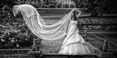 Andrew Box Wedding Photography, Black and white wedding photos, Bride wedding photos 