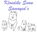 Klondike Snow Samoyed's   