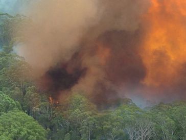 Planning for Bushfire Protection 2019, AS 3959:2018, NCC 2022 by TRANPLAN Town Planners Sydney