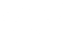 Diamond Professional Detailing