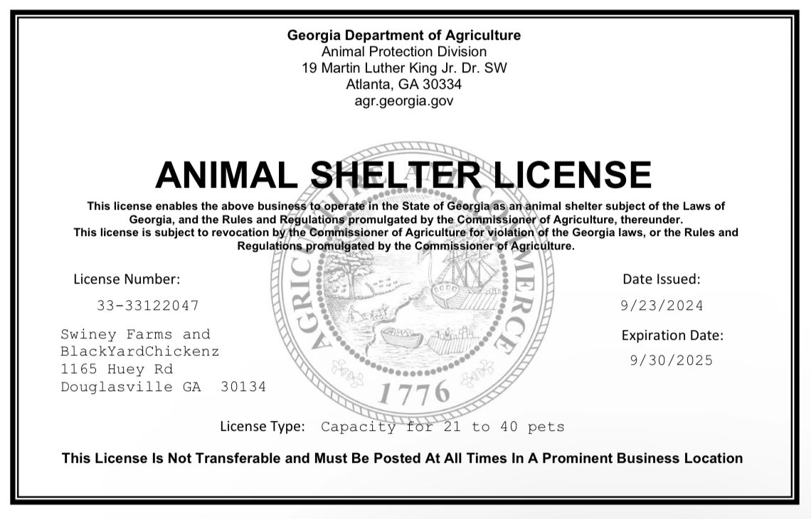 Swiney Farm and Blackyard Chickenz is now officially licensed...!