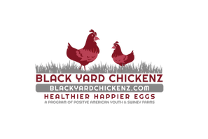blackyard chickenz