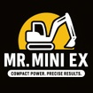Mr. Mini Ex