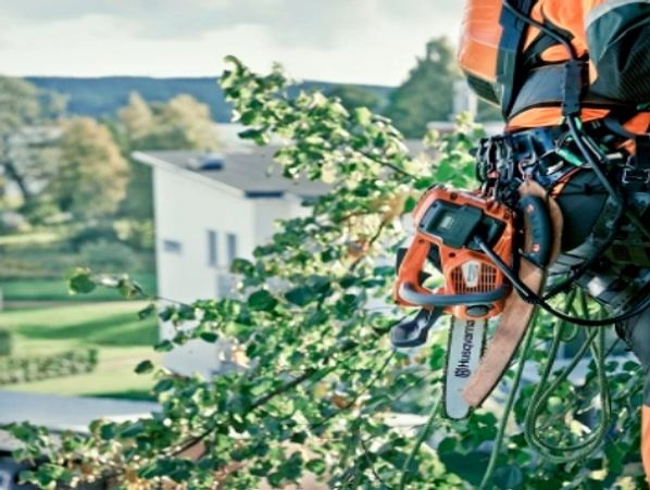 Arborist equipment 