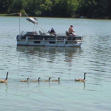 Pontoon boat example.