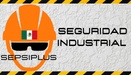 SEGURIDAD INDUSTRIAL SEPSIPLUS