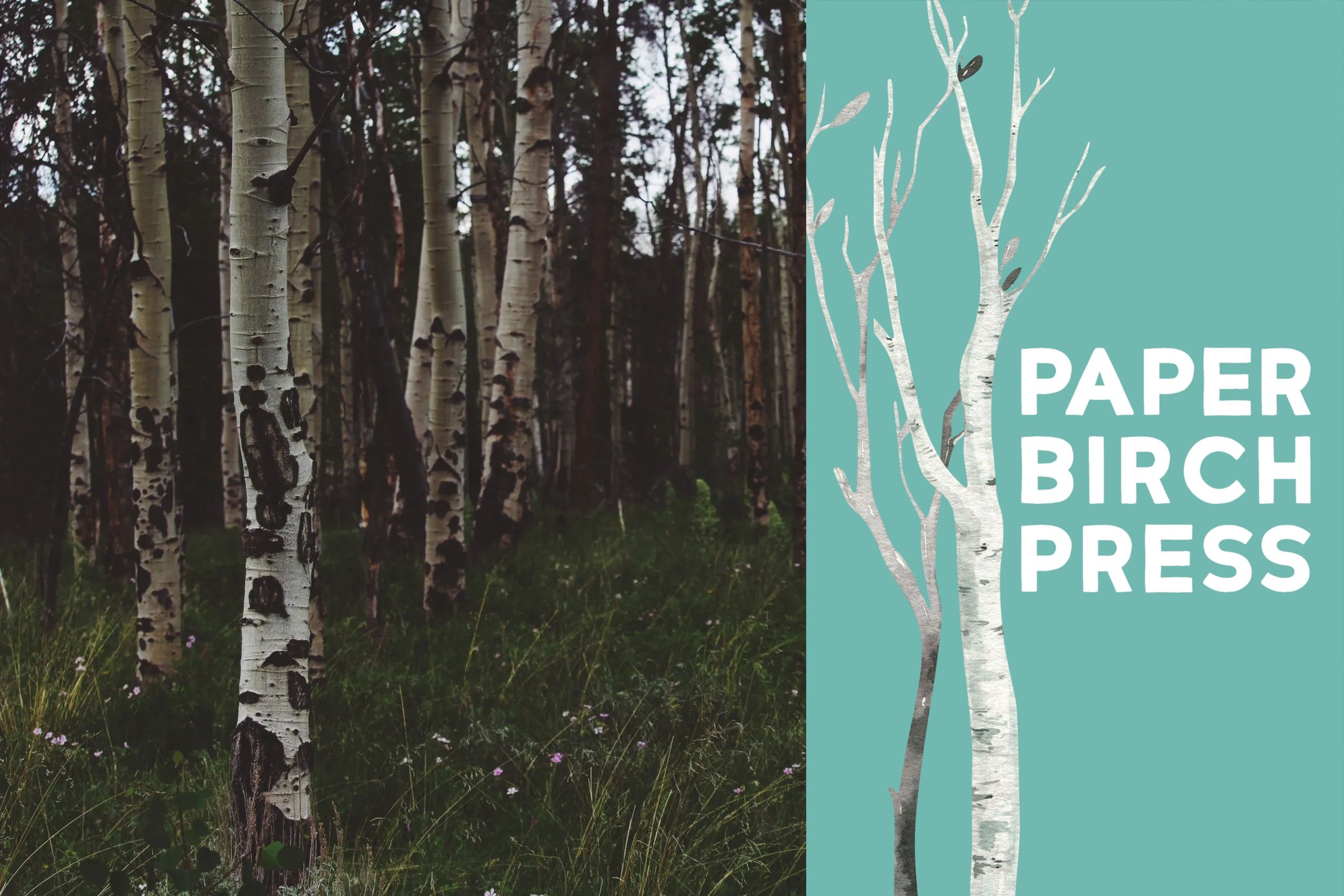 paper-birch-press
