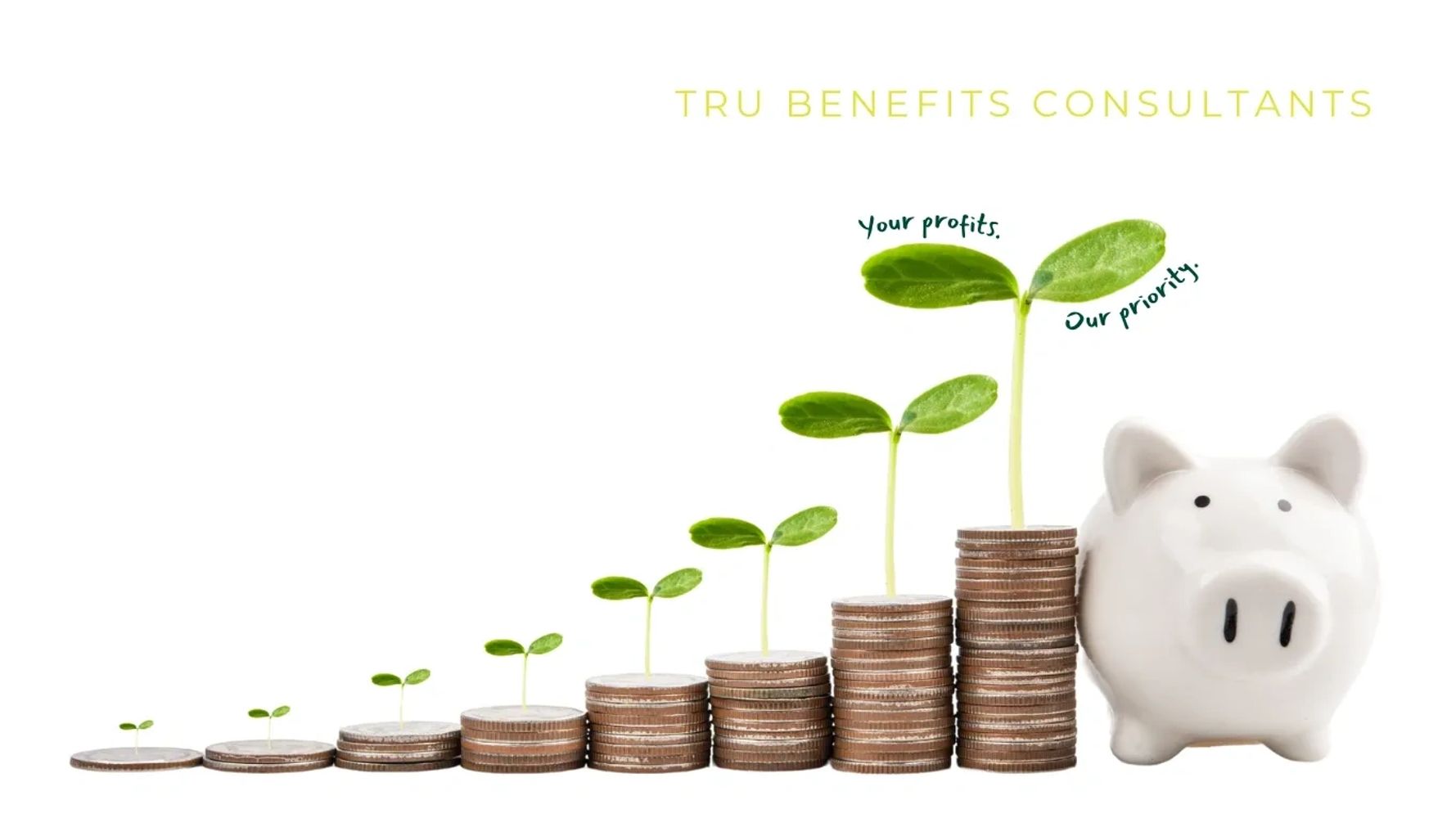 Tax Credits that will bring money back into your pocket