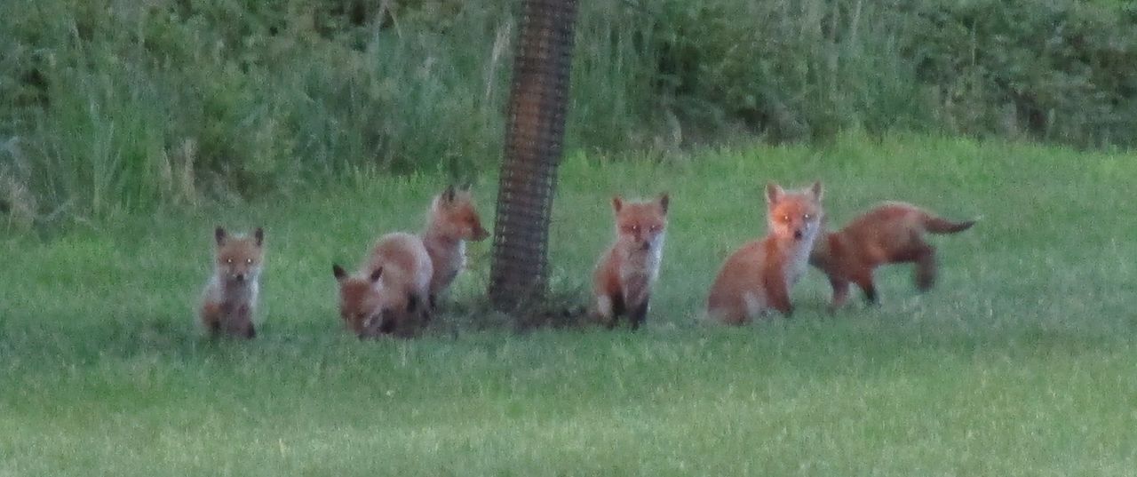 Spring Has Finally Sprung