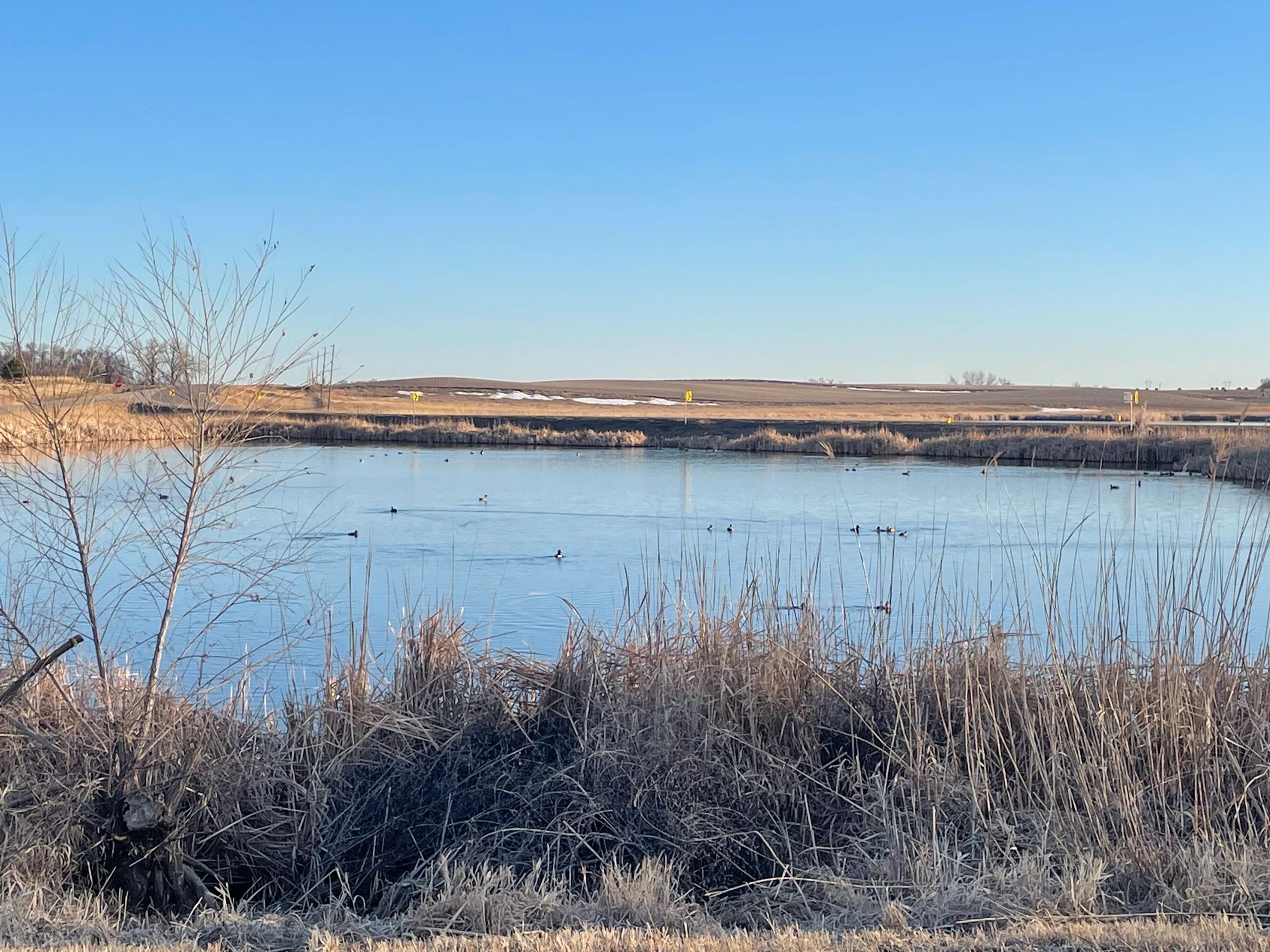 Hamlin County, SD Director of Equalization