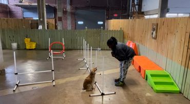 Dog and Trainer in sit-stay position