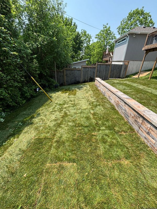 retaining wall, sod, sod installation