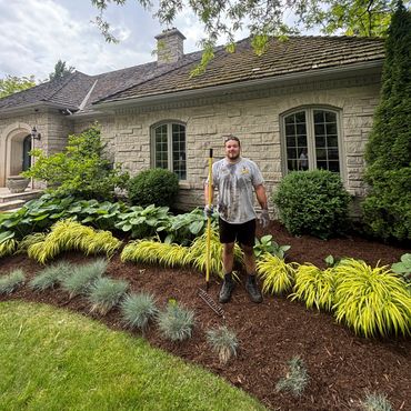 mulch, planting, plants, landscaping