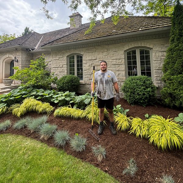 mulch, planting, plants, landscaping