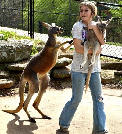 Young woman holding a kangaroo with another kangaroo standing beside her.