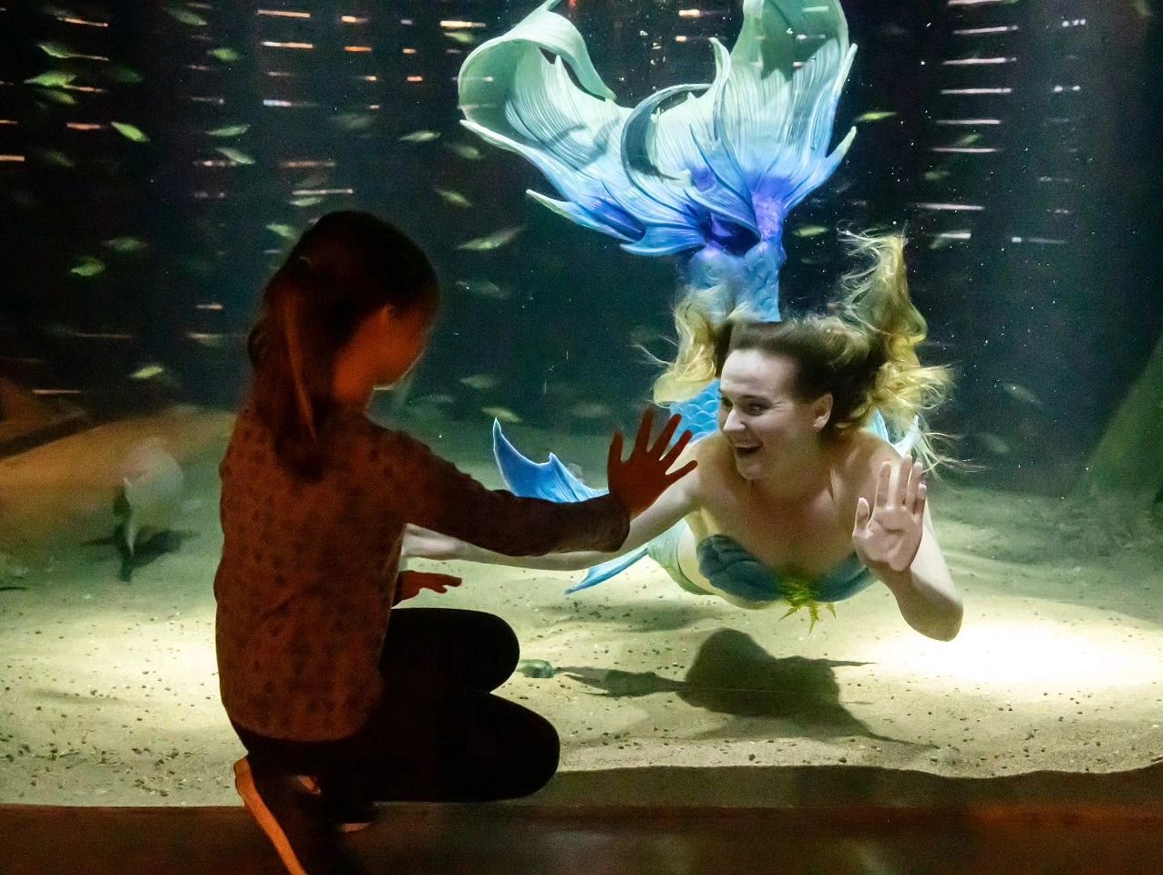 Swimming mermaid party entertainer serving Ontario