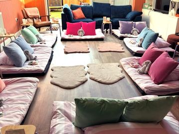 Cozy room with sofas, pillows, and cat-shaped mats.