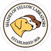 Shades of Yellow Labradors