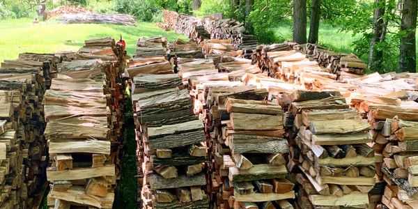 FIREWOOD FROM THE FOREST - Learn how to cut, split & stack it