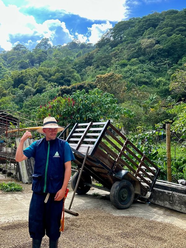 Coffee farm in Colombia 