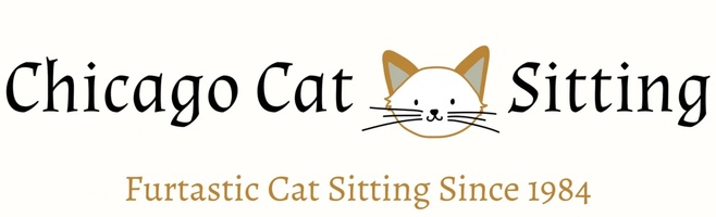 chicago cat sitting
