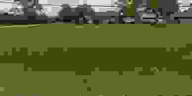 image15