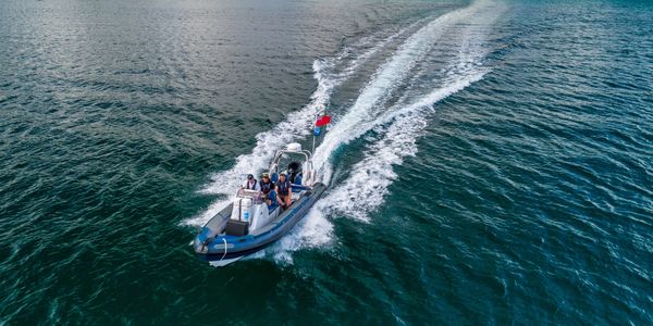 Image: a RIB boat travelling at speed in calm conditions in the Helford River.