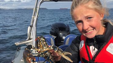 Lobster on a RIB in Falmouth Bay