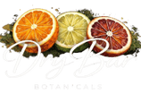 Dry Bar Botanicals