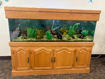 Large fish tank on a wooden cabinet.