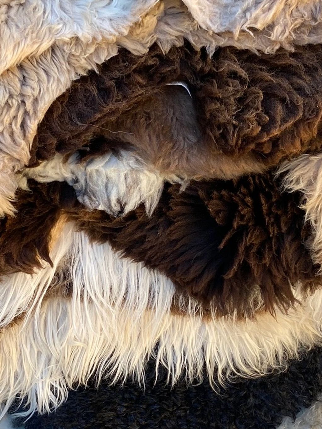 Sheepskin GstoveCanada