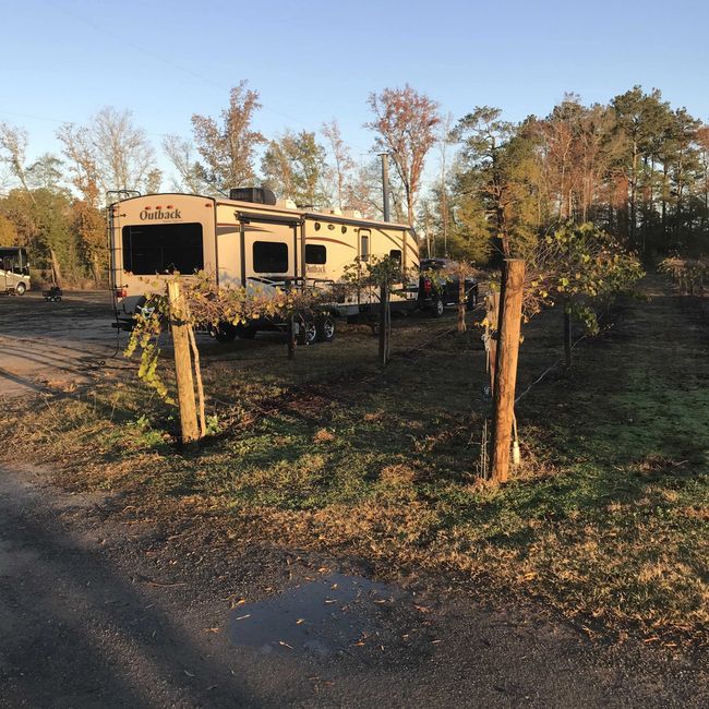 cartersville country winery