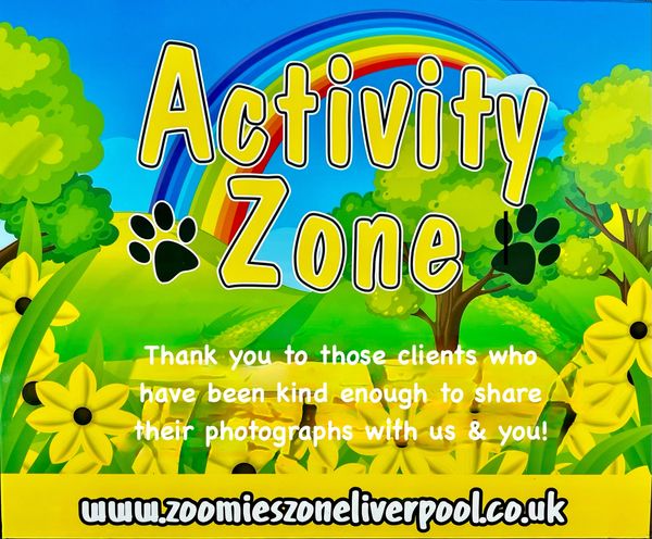 Colorful Activity Zone sign with rainbow and flowers thanking clients for sharing photos.