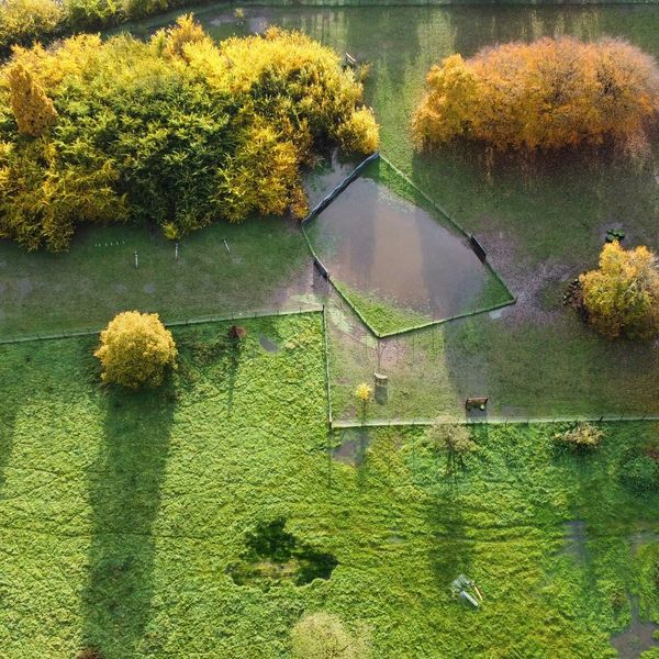 Aerial view of green fields with yellow-leaved trees casting long shadows.