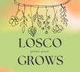 LoSco Grows