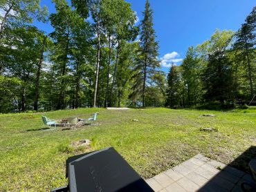 Sunny backyard with chairs and a fire pit surrounded by trees.