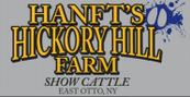 Hanft's Hickory Hill Farm 
Show Cattle