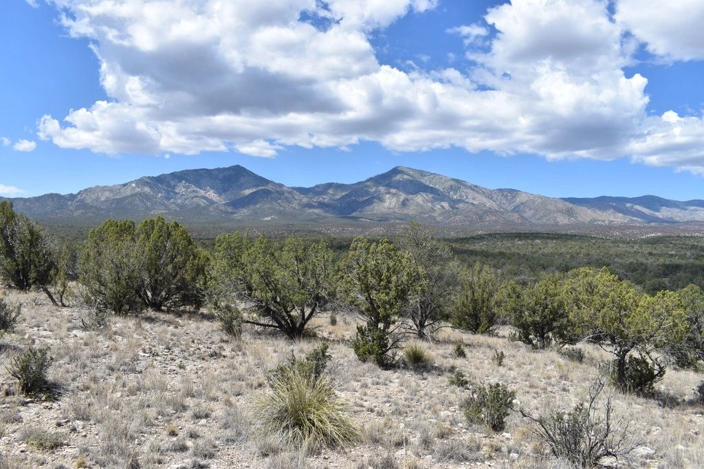 Roswell Geological Society Home