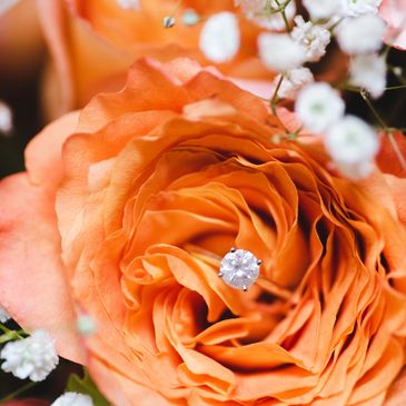 A sparkling diamond ring nestled in the petals of an orange rose.