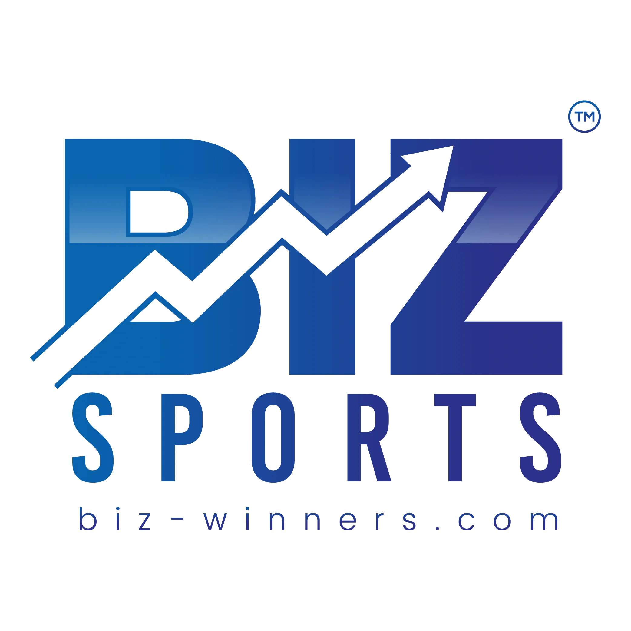 biz-winners.com