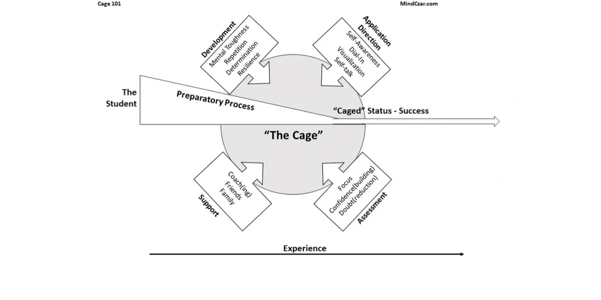 "Cage Theory" Visual Matrix