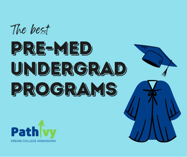 research programs for pre med students